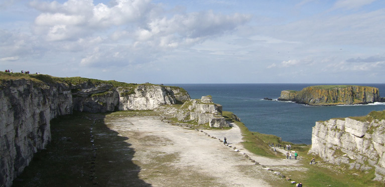 Media Image