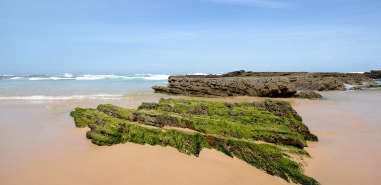 Media Image